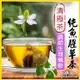 免運!【艾曼莊園】1包10入 純魚腥草茶(台灣製造) 3gx10入