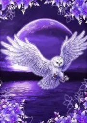 5D Diamond Painting Purple Moon White Owl Kit