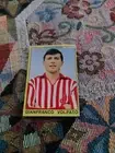 Figurina Panini Calciatori 1966/67 Gianfranco Volpato Del Vicenza