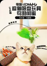 在飛比找露天拍賣優惠-貓玩具日本cattyman吸盤式貓咪逗貓棒可替換頭羽毛逗貓自