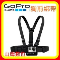 在飛比找蝦皮購物優惠-【山姆數位】【現貨 含稅 台閔公司貨】GoPro 胸前綁帶G