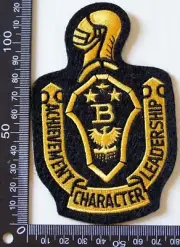 VINTAGE UNITED STATES AIR FORCE EMBROIDERED PATCH WOVEN CLOTH SEW-ON BADGE