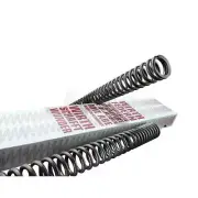 Wirth Progressive Gabelfeder-Satz (With ABE) - Kawasaki Un 800 Drifter (99-03)
