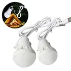 USB Power Outdoor LED Summer Camp 5V Lantern Portable Camping Lamp Mini Bulb
