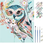 Painting by Numbers Kits, 1Pcs 40 * 50cm Canvas (Without Frame), 3Pcs Paintbrushes and 24 Colors Paint, DIY Painting Owl, Paint by Numbers for Adults Beginners and Kids, Gifts, Home Wall Art.