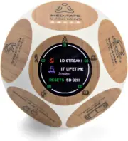 Pomodoro Timer Tracker for Productivity Focus Mindfulness Office ADHD Balance