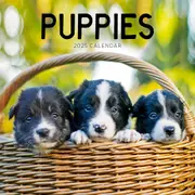 Puppies 2025 Calendar