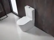 670*380*860mm Berlin White Back To Wall Toilet Suite Combi Rimless and Tornado