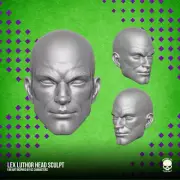 Lex Luthor v1 Metropolis Superman villain custom head for action figures