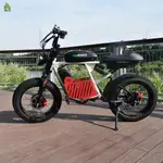 3000W 胖電動登山車 73 RX 雙驅動 ENDURO 越野電動自行車附收納籃