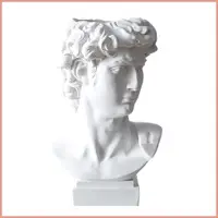 在飛比找蝦皮購物優惠-大衛雕像花瓶便攜式實用羅馬風格面部花盆用於花園希臘半身像大衛