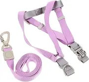 PEPLAYTAL Puppy Harness and Leash Set Small Dog Harness for Walking Durable Metal D-Ring Easy to Use and Comfortable for Your Pet