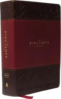 在飛比找三民網路書店優惠-Holy Bible ― King James Study 