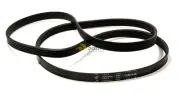 Genuine Oem Bosch Washing Machine Motor Drum Drive Belt Way32540au/23