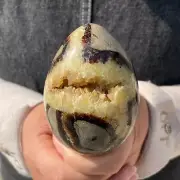 0.95LB Natural Dragon Septarian Quartz Egg Cluster Crystal Healing G5156