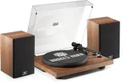 ANGELS HORN Vinyl Record Player, Hi-Fi System Bluetooth Turntable Players