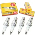 4pcs 01-02 Ski-Doo Summit 500 Fan NGK Standard Spark Plugs 499cc 30ci Kit bj