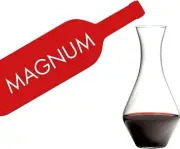 Riedel Wine Decanter, One Size, Clear