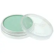 PanPastel Ultra Soft Pastel 9g Pearlescent Green 956.5