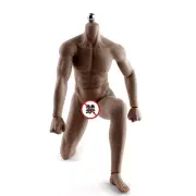 1/6 Male Muscular Body Black Seamless Nude 12inch Action Figure Doll Phicen