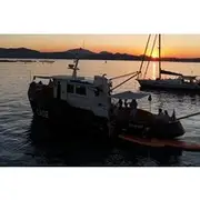 Save 20.00%! Sunset with dolphins on a vintage tugboat in Golfo Aranci