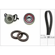 INA Timing Belt Kit - 530092410