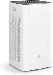 Medify MA-112 Air Purifier Filter | Removes Dust, Allergens & Smoke, HEPA Filter