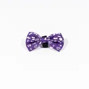 Hobart Hurricanes BBL Dog Bowtie