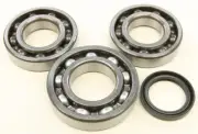 All Balls Crankshaft Bearing Kit for 2003-2005 Polaris Magnum 330 2x4 ATV