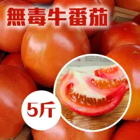在飛比找台灣好農優惠-生態無毒牛番茄(5斤/箱)