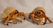2 HERMIT CRABS Animal Figurine Safari LtdToy Incredible Creatures
