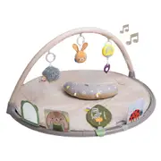Taf Toys Tummy Time Baby Activity Gym Plush Padded Mat Toddlers/Infants 0m+