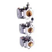 Carburetor For MERCURY MARINE 55 HP 60 HP 2 Stroke 821854T19 821854T20 821854T21