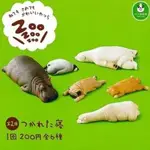 休眠動物園 第二彈 北極熊 轉蛋 扭蛋