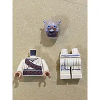 在飛比找蝦皮購物優惠-LEGO 樂高 人偶 塔斯肯突擊隊 星際大戰 75265 7