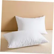 Goose Feather Down Pillows Queen Size Set of 2, Luxury Queen - 2 Pack White