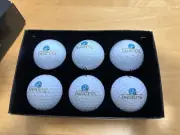 6 LOGO GOLF BALLS NEW in BOX- ORIGINAL GRANDE DUNES CLUB-MYRTLE BEACH OLD LOGO