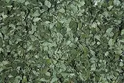 Organic Moringa Leaf 1 kg