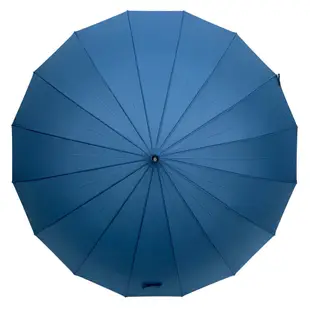 Prolla雨傘 日本自動直傘 16骨 抗風 雨傘 日本傘 防風傘 雨具 長傘 晴雨傘 兩用傘