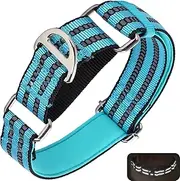 ONEFOJOJO Martingale Dog Collars for Dogs, Reflective Nylon Dog Collar with No Buckle Adjustable Training, Walking, Hunting No Slip Dog Collar (Medium, Bule)
