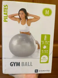 在飛比找Yahoo!奇摩拍賣優惠-迪卡儂 DOMYOS 瑜珈球 M號 健身球 GYM BALL