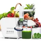 Pro 2025 Updated Slow Masticating Juicer, 95% Juice Yield, 2-Speed & 9-Segmen...