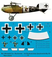 Peddinghaus 1/72 Albatros D.Va Markings Michael Hutterer Jasta 23b France 3894