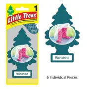 6 Count Little Trees Rainshine Scent Hanging Car & Home Air Fresheners