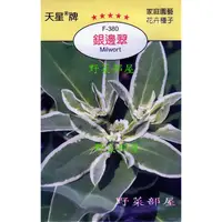 在飛比找蝦皮購物優惠-【萌田種子~花卉種子】Y31 銀邊翠Milwort~穗耕種苗