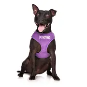 DO NOT FEED - Medium adjustable Vest Harness