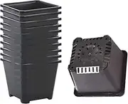 Seedling Starter Pots - 50x Square Growing Pots | Germination Trays, Gardening Accessories for Indoor and Outdoor