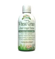 Wheat Grass Liquid with Real Ginger Extract, Nature's Perfect Superfood, 32 s...