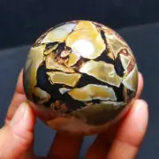 323G Natural colorful Volcanic Rock agate Sphere Quartz Crystal Ball 5322+
