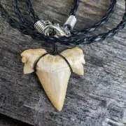Black Braided off white Otodus. Great Medium Fossil Shark Tooth teeth Necklace